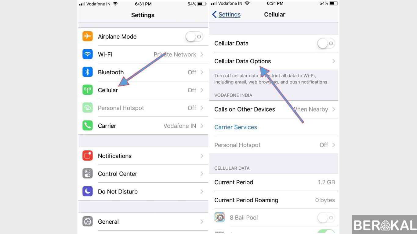 setting apn xl di iphone
