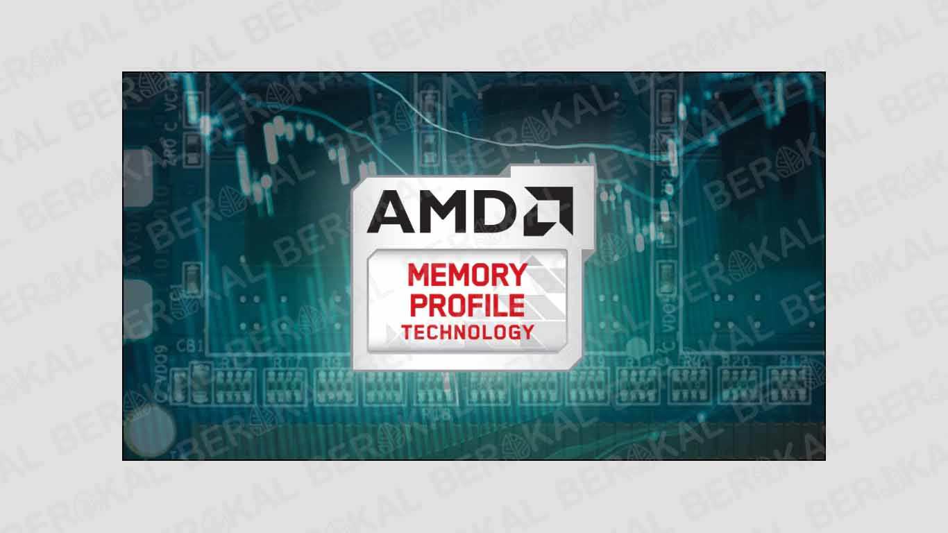 amd amd