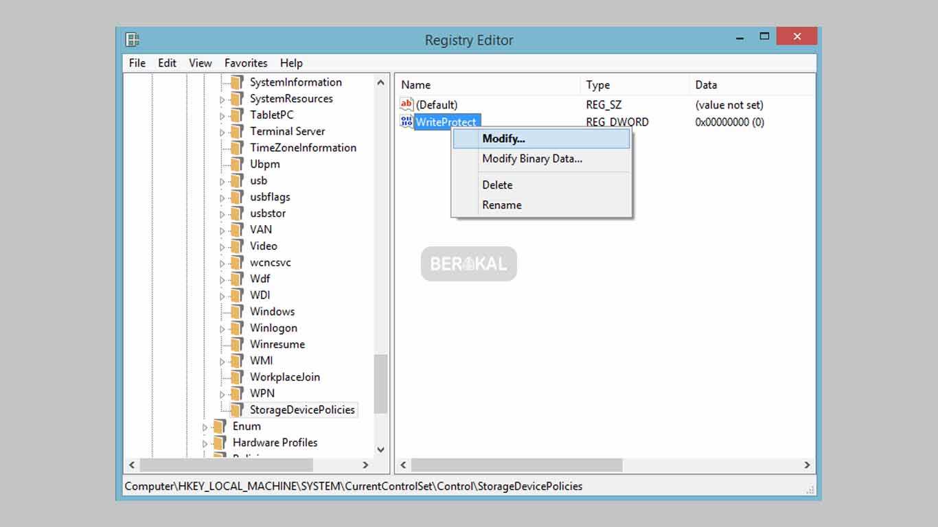writeprotect regedit writeprotect regedit
