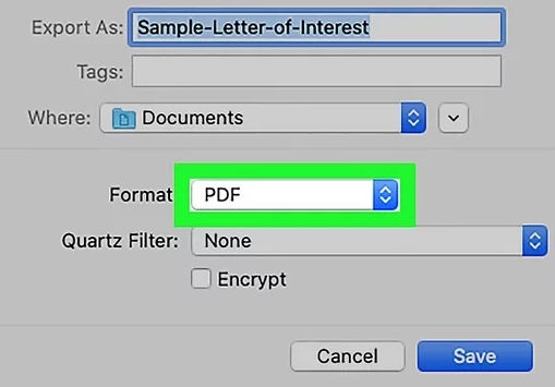 pdf format file pdf format file