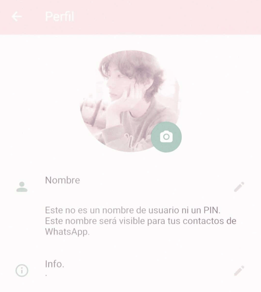 Tema WA Pink Tema WA Pink